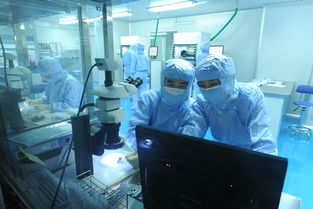 美迪西 分子生物學與生物技術開發(fā)服務，驅(qū)動創(chuàng)新藥物研發(fā)